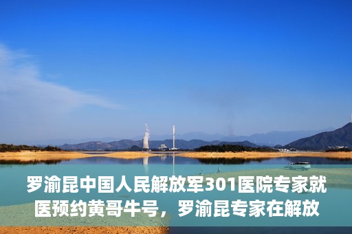 罗渝昆中国人民解放军301医院专家就医预约黄哥牛号，罗渝昆专家在解放军301医院就医预约，黄哥牛号背后的专业力量