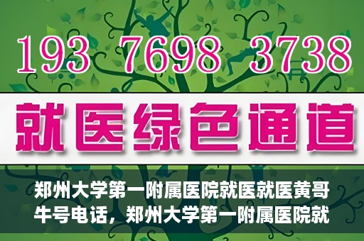 郑州大学第一附属医院就医就医黄哥牛号电话，郑州大学第一附属医院就医黄哥牛号电话详解，就医指南与联系方式揭秘