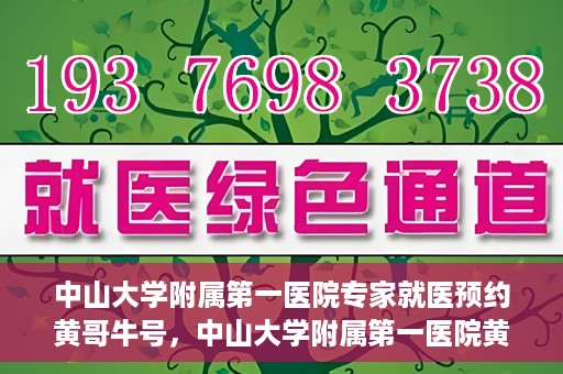 中山大学附属第一医院专家就医预约黄哥牛号，中山大学附属第一医院黄哥牛号专家预约指南
