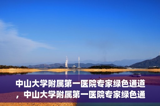 中山大学附属第一医院专家绿色通道，中山大学附属第一医院专家绿色通道，一站式健康服务体验新篇章