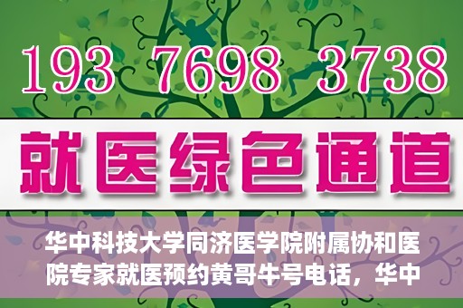 华中科技大学同济医学院附属协和医院专家就医预约黄哥牛号电话，华中科技大学同济医学院附属协和医院专家预约挂号攻略，黄哥牛号电话就医预约指南