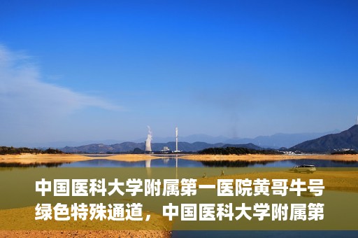 中国医科大学附属第一医院黄哥牛号绿色特殊通道，中国医科大学附属第一医院黄哥牛号，绿色特殊通道的开启与探索