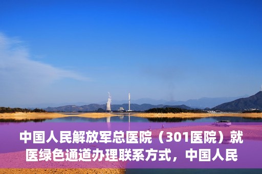 中国人民解放军总医院（301医院）就医绿色通道办理联系方式，中国人民解放军总医院就医绿色通道办理指南，快速联系与申请流程揭秘