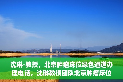沈琳-教授，北京肿瘤床位绿色通道办理电话，沈琳教授团队北京肿瘤床位绿色通道办理热线揭秘