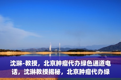 沈琳-教授，北京肿瘤代办绿色通道电话，沈琳教授揭秘，北京肿瘤代办绿色通道电话号码揭秘