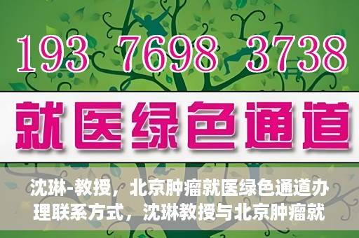 沈琳-教授，北京肿瘤就医绿色通道办理联系方式，沈琳教授与北京肿瘤就医绿色通道，一站式联系指南