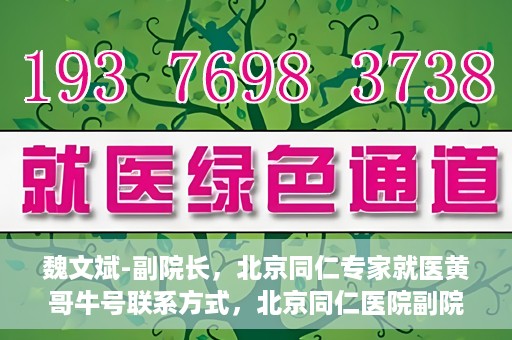 魏文斌-副院长，北京同仁专家就医黄哥牛号联系方式，北京同仁医院副院长魏文斌，黄哥牛号就医联系指南与专家联系方式揭秘