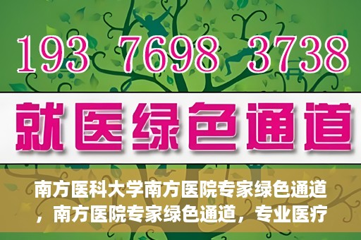 南方医科大学南方医院专家绿色通道，南方医院专家绿色通道，专业医疗服务的快捷通道