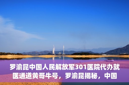 罗渝昆中国人民解放军301医院代办就医通道黄哥牛号，罗渝昆揭秘，中国人民解放军301医院就医通道背后的故事——黄哥牛号传奇