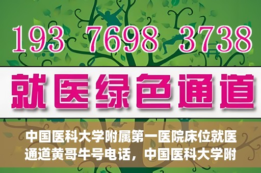 中国医科大学附属第一医院床位就医通道黄哥牛号电话，中国医科大学附属第一医院床位就医通道，黄哥牛号电话预约攻略