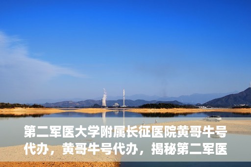 第二军医大学附属长征医院黄哥牛号代办，黄哥牛号代办，揭秘第二军医大学附属长征医院的医疗服务新篇章