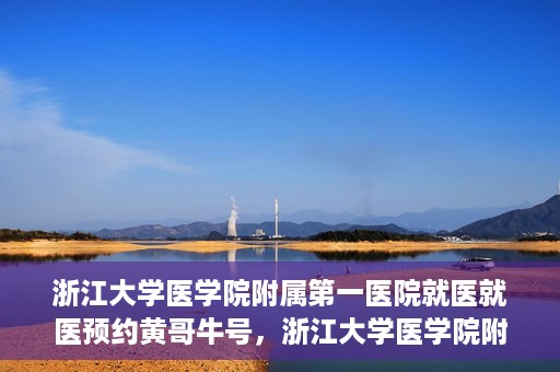 浙江大学医学院附属第一医院就医就医预约黄哥牛号，浙江大学医学院附属第一医院就医预约攻略，黄哥牛号助你轻松挂号就医