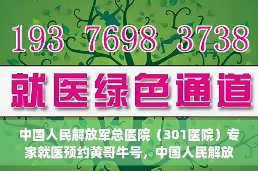 中国人民解放军总医院（301医院）专家就医预约黄哥牛号，中国人民解放军总医院（301医院）黄哥牛号专家预约就医攻略