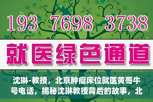 沈琳-教授，北京肿瘤床位就医黄哥牛号电话，揭秘沈琳教授背后的故事，北京肿瘤床位就医背后的黄哥牛号电话揭秘