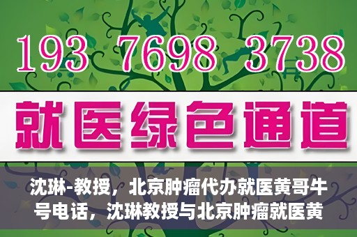 沈琳-教授，北京肿瘤代办就医黄哥牛号电话，沈琳教授与北京肿瘤就医黄哥热线，权威解读牛号电话背后的故事
