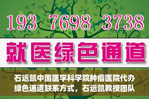 石远凯中国医学科学院肿瘤医院代办绿色通道联系方式，石远凯教授团队绿色通道联系方式，中国医学科学院肿瘤医院权威解读与代办服务指南