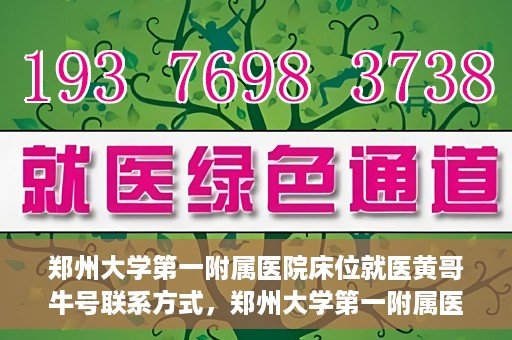 郑州大学第一附属医院床位就医黄哥牛号联系方式，郑州大学第一附属医院床位就医攻略，黄哥牛号联系方式揭秘