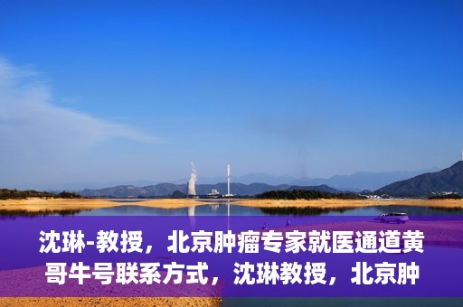 沈琳-教授，北京肿瘤专家就医通道黄哥牛号联系方式，沈琳教授，北京肿瘤专家就医通道揭秘，黄哥牛号联系方式一览无余
