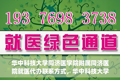 华中科技大学同济医学院附属同济医院就医代办联系方式，华中科技大学同济医学院附属同济医院就医代办服务联系方式解析