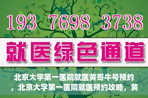 北京大学第一医院就医黄哥牛号预约，北京大学第一医院就医预约攻略，黄哥牛号预约详解