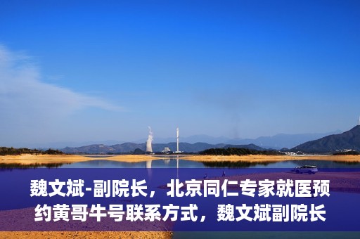 魏文斌-副院长，北京同仁专家就医预约黄哥牛号联系方式，魏文斌副院长北京同仁专家预约挂号联系方式，黄哥牛号就医指南