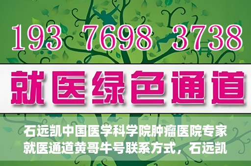 石远凯中国医学科学院肿瘤医院专家就医通道黄哥牛号联系方式，石远凯教授，中国医学科学院肿瘤医院专家就医指南与联系方式揭秘