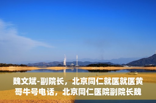 魏文斌-副院长，北京同仁就医就医黄哥牛号电话，北京同仁医院副院长魏文斌，黄哥牛号电话背后的就医故事探索