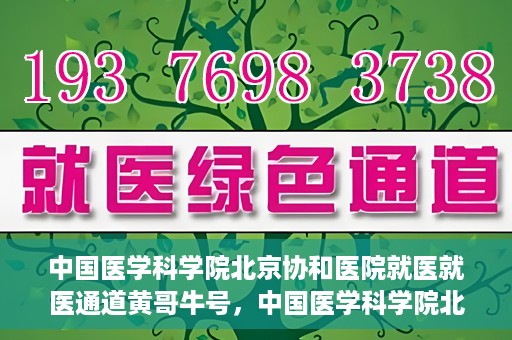 中国医学科学院北京协和医院就医就医通道黄哥牛号，中国医学科学院北京协和医院就医通道详解，黄哥牛号助您便捷就医