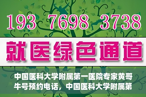 中国医科大学附属第一医院专家黄哥牛号预约电话，中国医科大学附属第一医院黄哥牛专家预约电话及挂号攻略