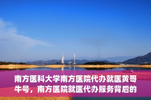 南方医科大学南方医院代办就医黄哥牛号，南方医院就医代办服务背后的故事，黄哥牛号引领就医新风尚