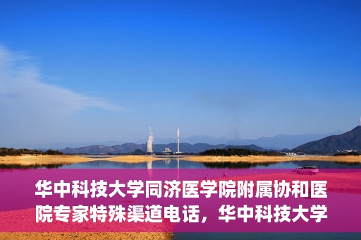 华中科技大学同济医学院附属协和医院专家特殊渠道电话，华中科技大学同济医学院附属协和医院专家特殊渠道专线电话揭秘