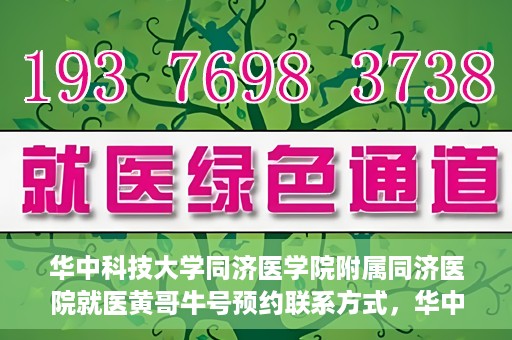 华中科技大学同济医学院附属同济医院就医黄哥牛号预约联系方式，华中科技大学同济医院黄哥牛号预约联系方式及就医指南