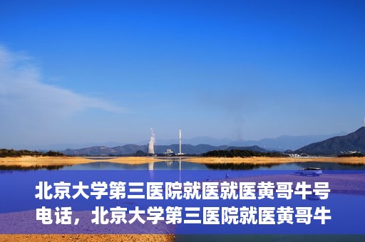 北京大学第三医院就医就医黄哥牛号电话，北京大学第三医院就医黄哥牛号电话详解