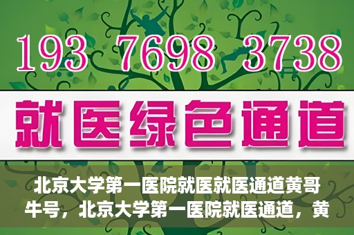 北京大学第一医院就医就医通道黄哥牛号，北京大学第一医院就医通道，黄哥牛号助您便捷就医