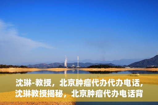 沈琳-教授，北京肿瘤代办代办电话，沈琳教授揭秘，北京肿瘤代办电话背后的真相