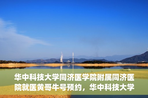 华中科技大学同济医学院附属同济医院就医黄哥牛号预约，华中科技大学同济医院黄哥牛号预约攻略，就医新体验