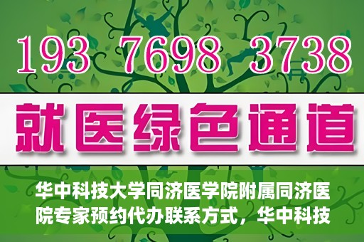 华中科技大学同济医学院附属同济医院专家预约代办联系方式，华中科技大学同济医院专家预约代办服务指南，快速联系专家团队