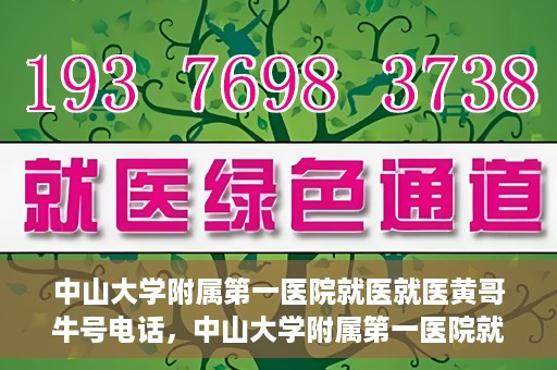 中山大学附属第一医院就医就医黄哥牛号电话，中山大学附属第一医院就医攻略，黄哥牛号电话全解析
