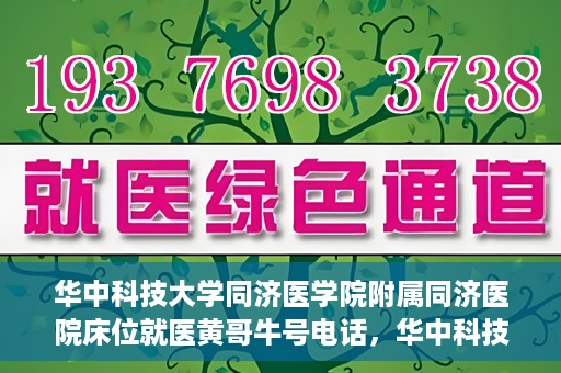 华中科技大学同济医学院附属同济医院床位就医黄哥牛号电话，华中科技大学同济医院床位预约就医信息及黄哥牛号联系电话解析