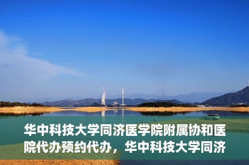 华中科技大学同济医学院附属协和医院代办预约代办，华中科技大学同济医学院附属协和医院预约代办服务详解