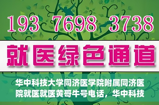华中科技大学同济医学院附属同济医院就医就医黄哥牛号电话，华中科技大学同济医院就医指南，黄哥牛号电话一键预约就医服务
