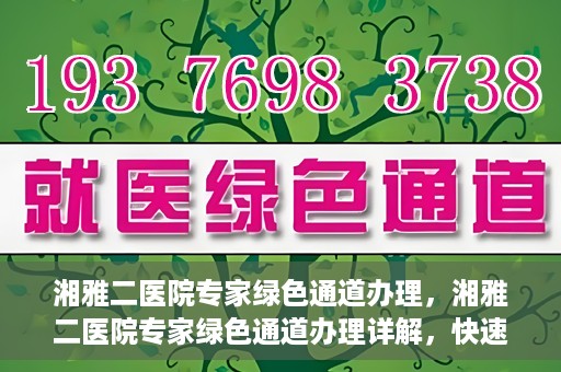 湘雅二医院专家绿色通道办理，湘雅二医院专家绿色通道办理详解，快速就医新途径揭秘