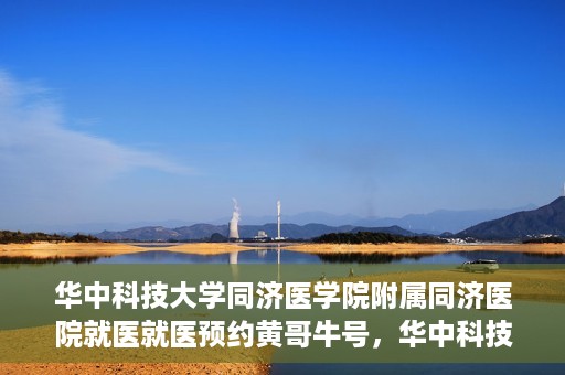 华中科技大学同济医学院附属同济医院就医就医预约黄哥牛号，华中科技大学同济医院就医预约攻略，黄哥牛号引领便捷就医新风尚