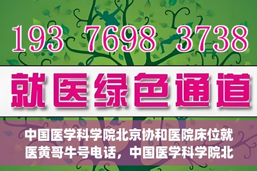 中国医学科学院北京协和医院床位就医黄哥牛号电话，中国医学科学院北京协和医院床位预约及就医咨询联系方式揭秘，黄哥牛号电话一览