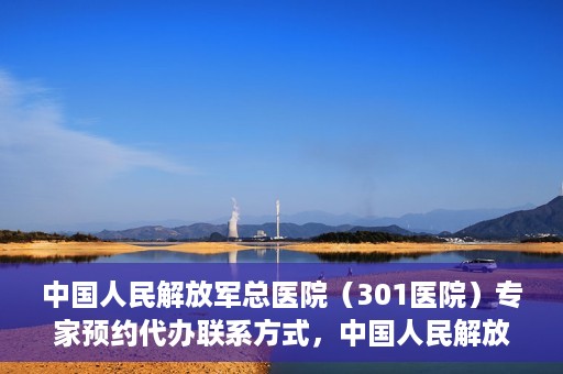 中国人民解放军总医院（301医院）专家预约代办联系方式，中国人民解放军总医院（301医院）专家预约咨询与联系方式全解析