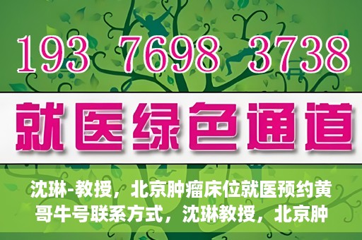 沈琳-教授，北京肿瘤床位就医预约黄哥牛号联系方式，沈琳教授，北京肿瘤床位预约热线及就医指南——黄哥牛号联系方式揭秘