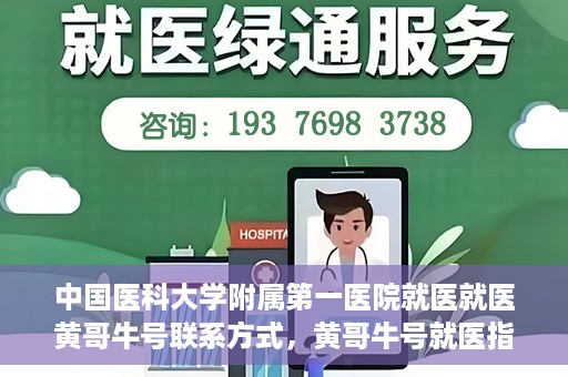 中国医科大学附属第一医院就医就医黄哥牛号联系方式，黄哥牛号就医指南，中国医科大学附属第一医院联系方式揭秘