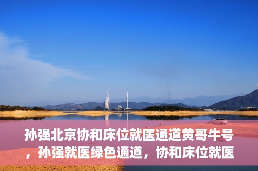 孙强北京协和床位就医通道黄哥牛号，孙强就医绿色通道，协和床位就医通道揭秘与黄哥牛号的力量