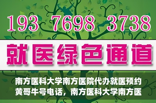南方医科大学南方医院代办就医预约黄哥牛号电话，南方医科大学南方医院预约就医代办服务，黄哥牛号预约电话便捷通道开启