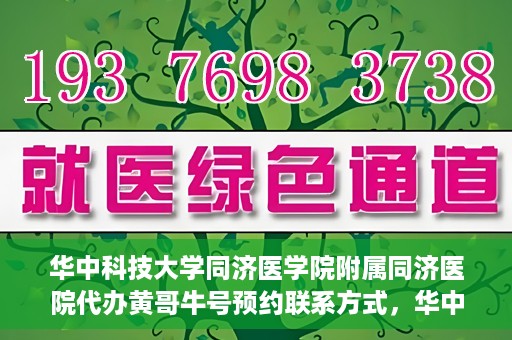 华中科技大学同济医学院附属同济医院代办黄哥牛号预约联系方式，华中科技大学同济医院黄哥牛号预约联系方式及代办服务解析